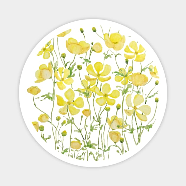 yellow buttercup flower field watercolor Magnet by colorandcolor